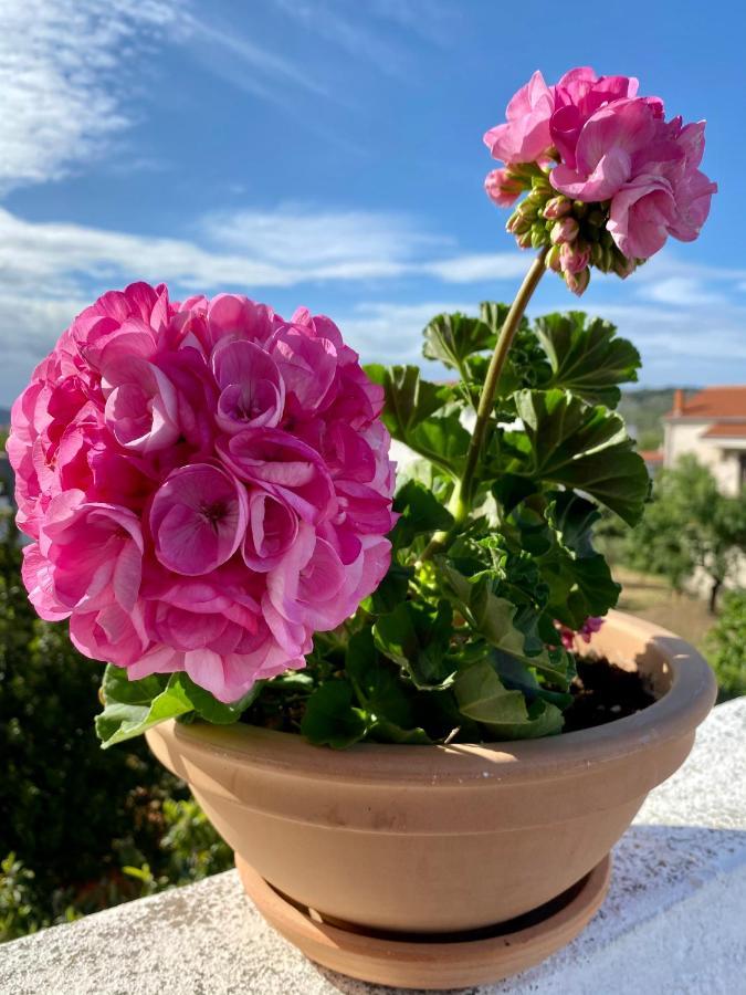 Apartman Bartol Betina  Buitenkant foto